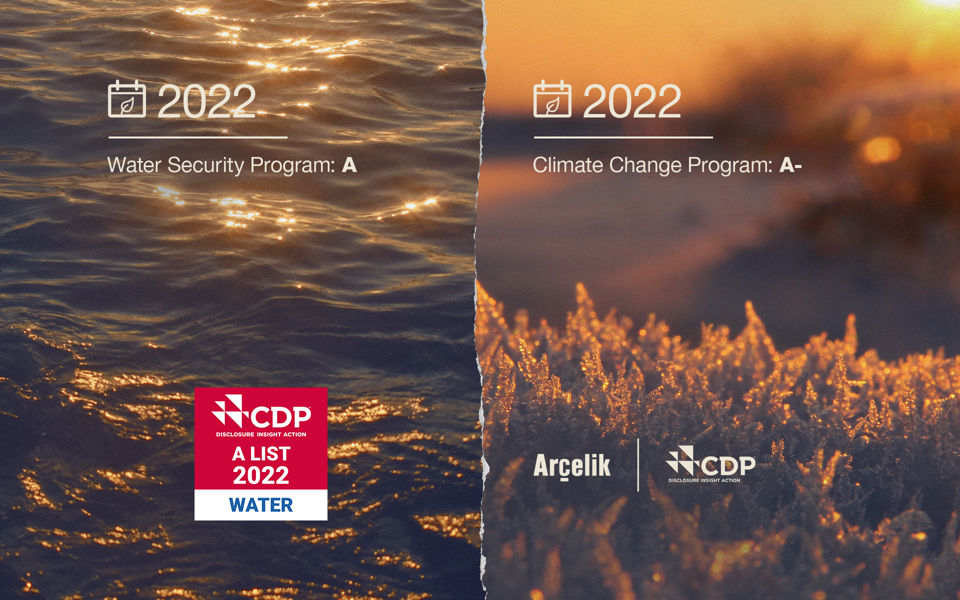 Arçelik in the CDPA List Image